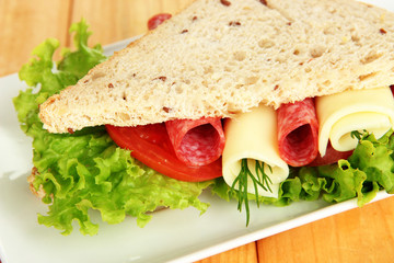 Tasty sandwich with salami sausage and vegetables