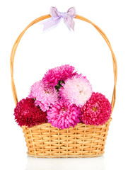 Fototapeta na wymiar Jasne kwiaty aster w koszyku, na białym tle