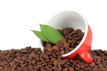 Coffee beans in cup on white background