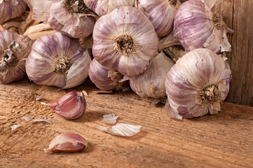 Garlic