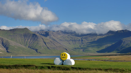Iceland - smiling landscape
