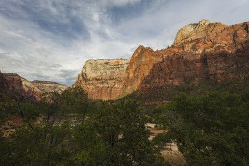 Fototapeta na wymiar Cliffs of Zion National Park in Utah
