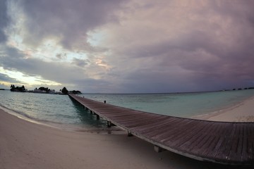 tropical beach landscape