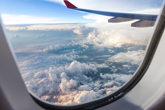 Airplane window organization, window, airplane