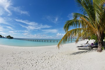 tropical beach landscape