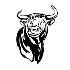 bull vector llustration realistic sketch