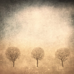 Naklejka premium grunge image of trees over grunge background