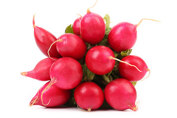 Small garden radish.