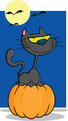 Halloween Cat On Pumpkin Cartoon Illustration