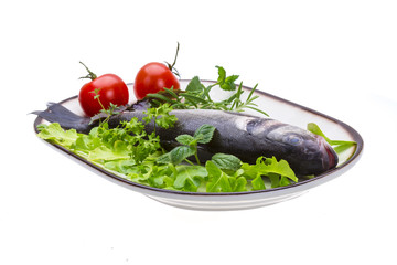 Raw seabass