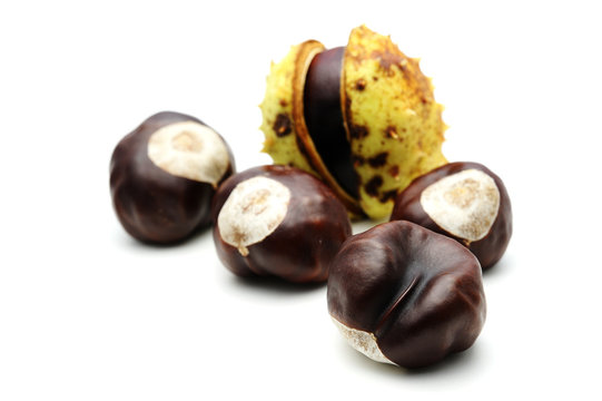 Castagne