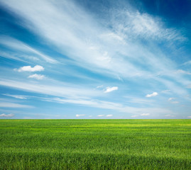 Fototapeta na wymiar sky and fields