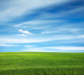 Fototapeta na wymiar sky and fields