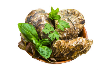 Fresh oyster