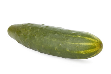 Ripe cucumber isolated on a white background.