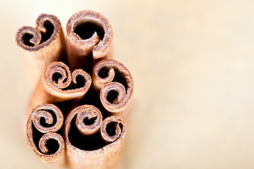 Obraz na płótnie Canvas Cinnamon sticks in a warm background with copy-space