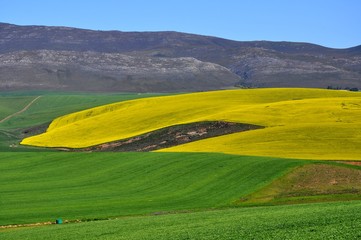 colori della natura