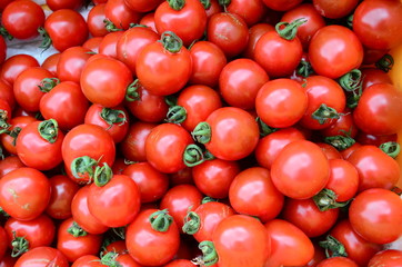 Pile of fresh tomatoes
