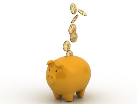 piggy coin bank