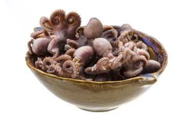 Boiled Octopus