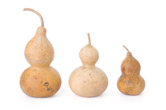 Bottle gourds isolated on a white background