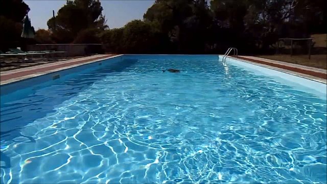 apnea