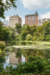 Fototapeta na wymiar Central Park New York City