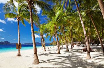Tropical beach, Philippines