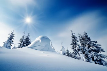 Photo sur Plexiglas Hiver Winter Landscape