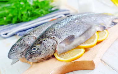 raw fish