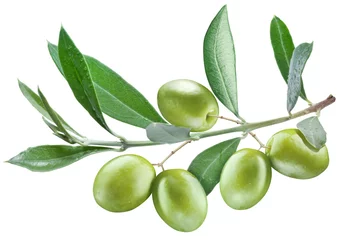 Fototapeten Branch of olive tree with green olives on it. © volff
