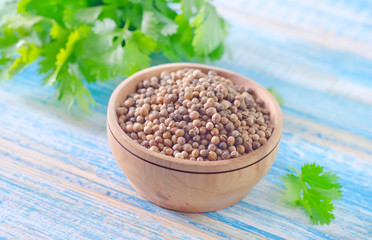 coriander