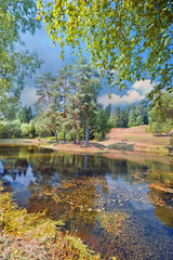 Fototapeta na wymiar Forest round Lake with island