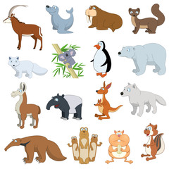 Obraz premium Various Wildlife Animals set