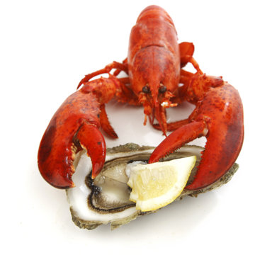Lobster and oyster
