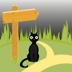 Black cat and wooden arrow on the road