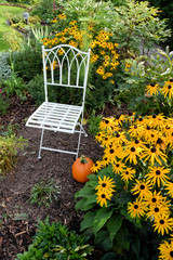 Garten mit Stuhl und Rudbeckia im September