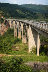 Fototapeta na wymiar Bridge over Tara