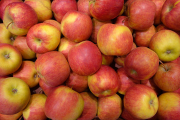 autumn red and yellow apples