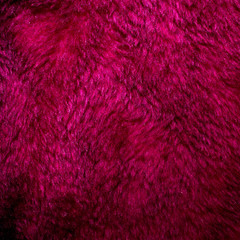 Purple fur texture