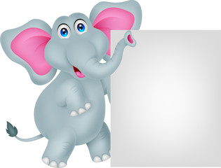 funny elephant cartoon with blank sign