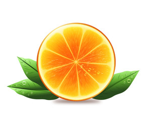 Half of orange with leaves