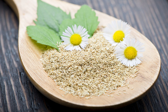 camomilla per infuso