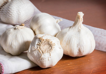 Still life garlic
