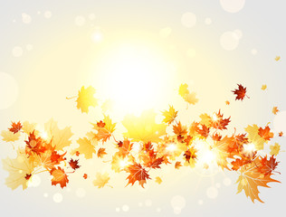 Autumnal background with maple leaves and lights