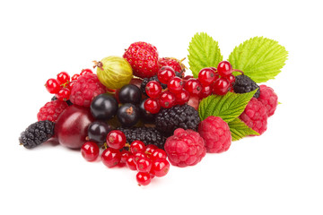 Berries