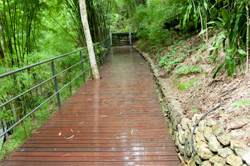 Obraz premium Wood bridge