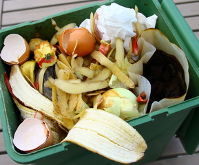 récipient d'épluchures et restes