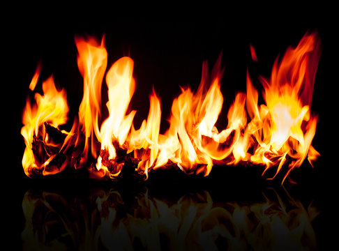 Fire flames on a black background