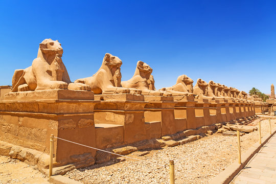 Ancient egyptian statues of Ram-headed sphinxes in Karnak temple